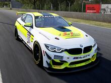 BMW GT4 series3 livery