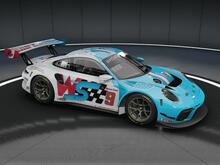 blue and white Porsche GT3 Car