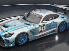 #teamMAMBA livery blue on silver