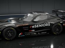 Eseniors PaceCar