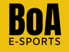 BoA Logo