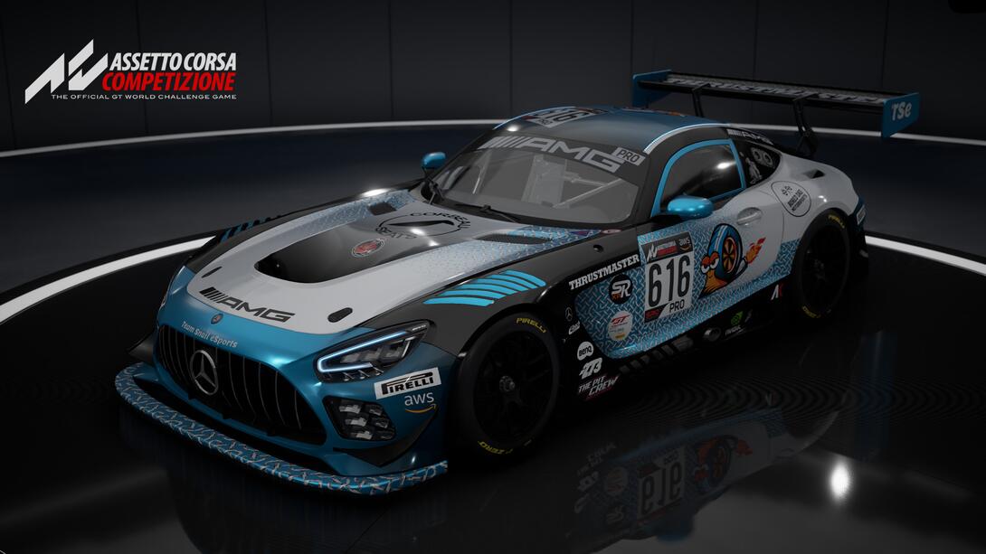 TSe_AMG_Evo