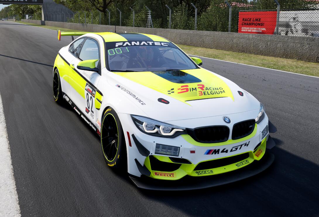 BMW GT4 series3 livery