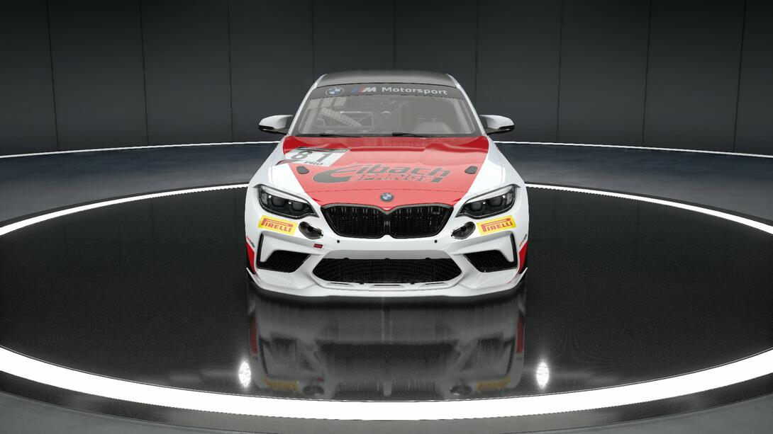 BMW M2 CUP Eibach