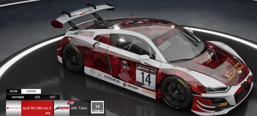 ARC Team Audi