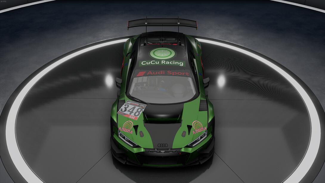 CuCu Racing Audi LMS II