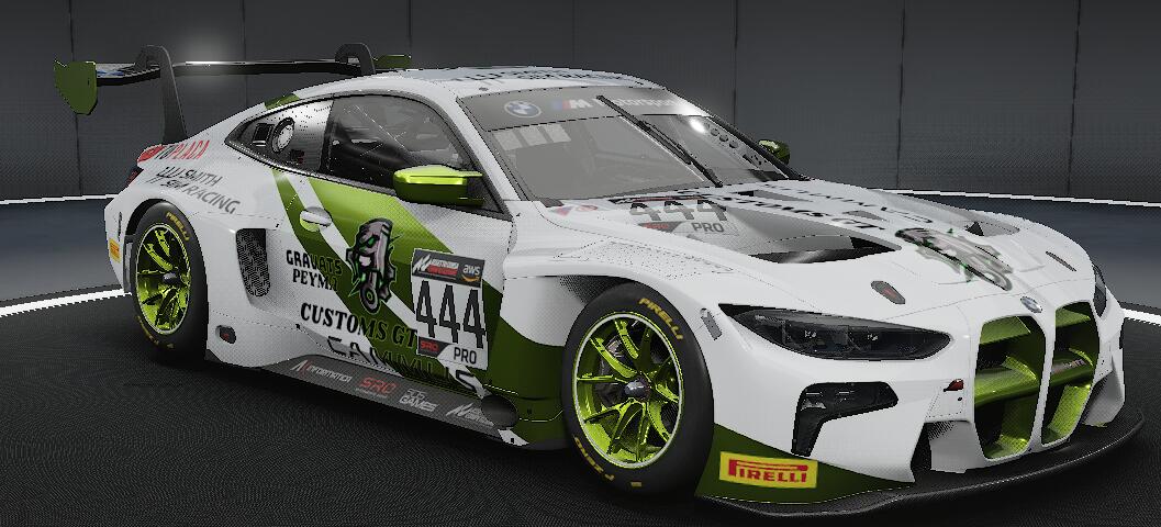 skin BMW