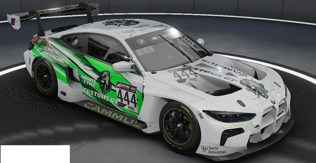 skin BMW