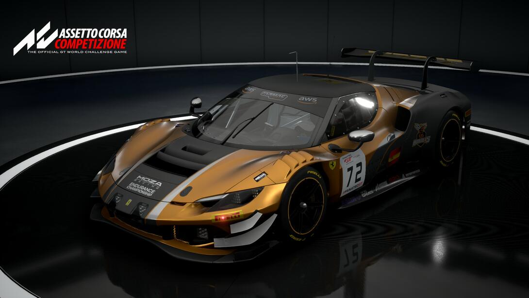 Hornets Racing Team - Moza Endurance 2