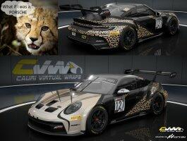 The South African Cheetah