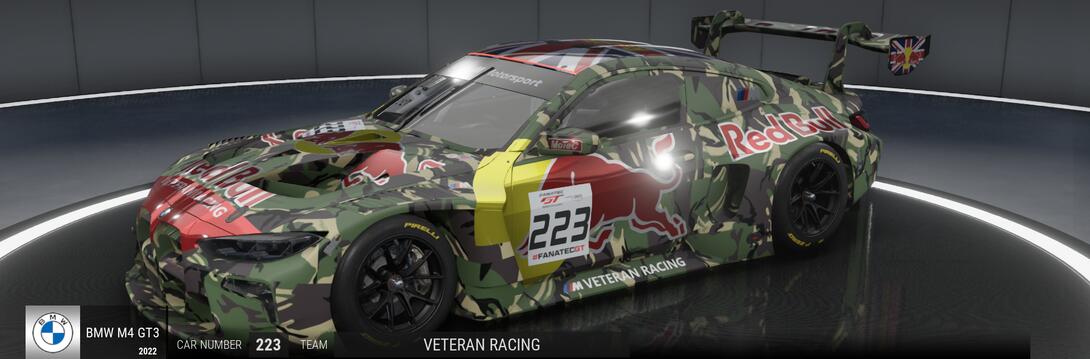 223_M.Poe_VeteranM4