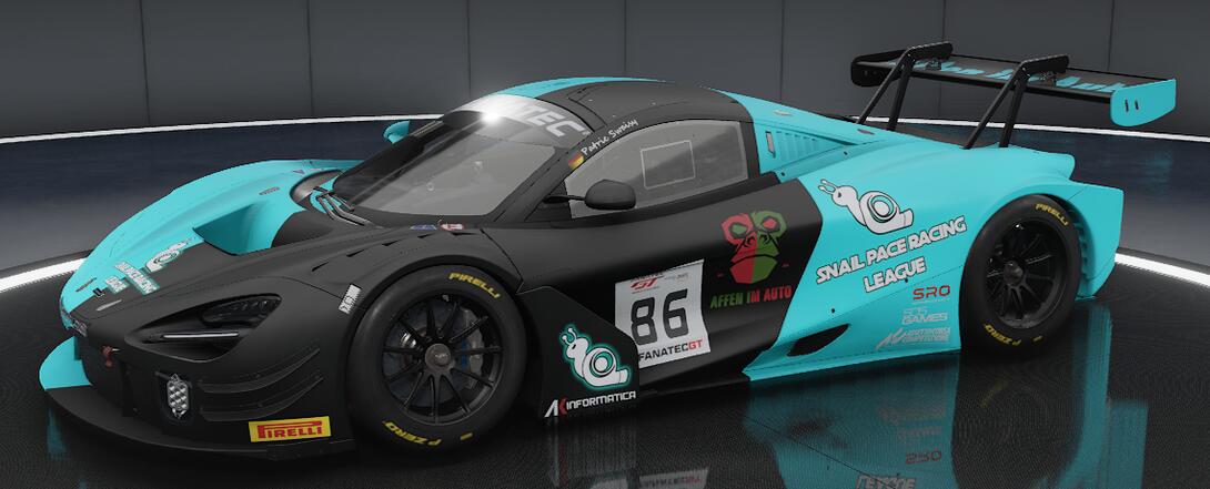 Mclaren720s GT3 evo Affen im Auto 2.0 SPR