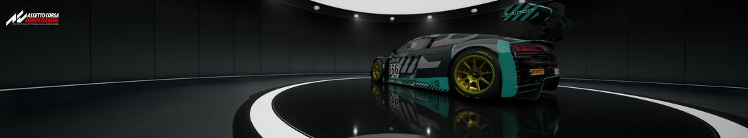 Egons Audi R8