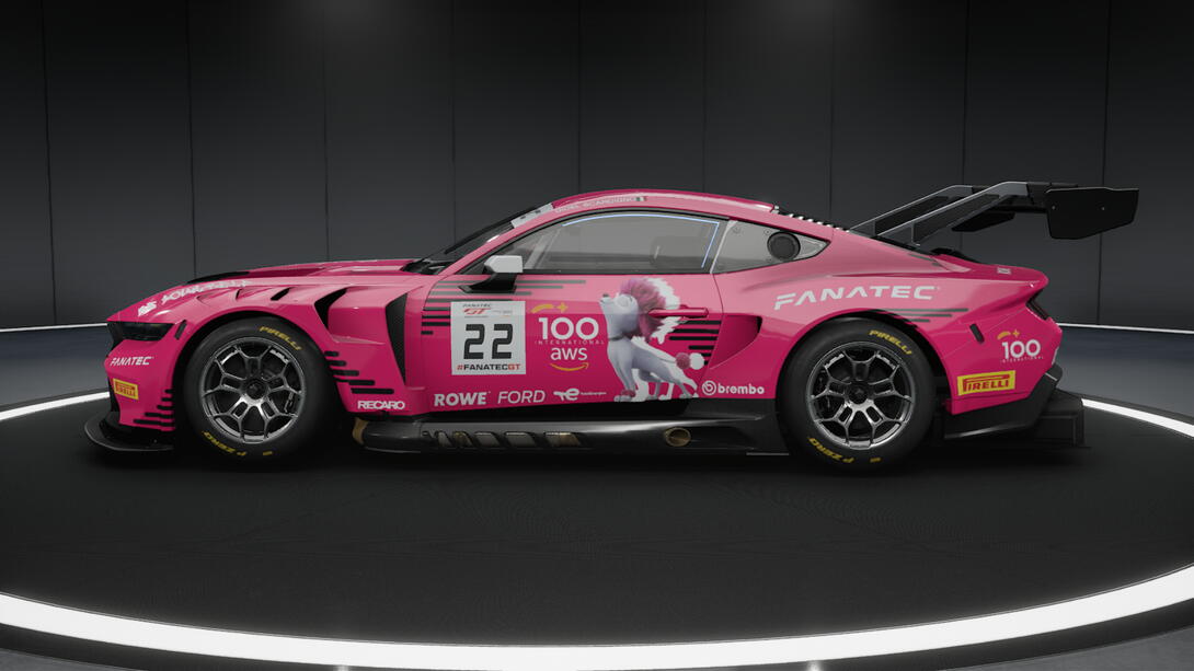 100 Studios "PinkPoodle" Livery