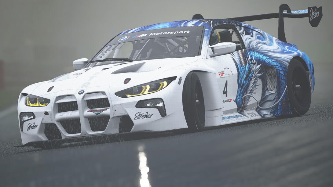 Drachen Livery for BMW