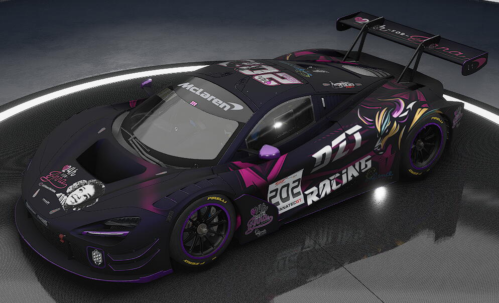 #202 DZT RACING 24H FOR ANNA
