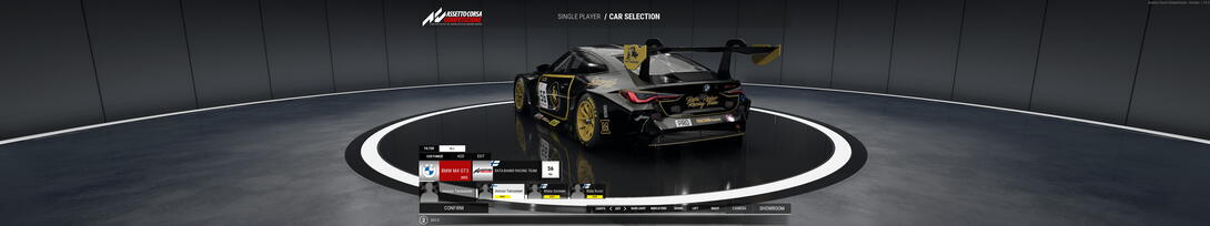 Rata-Raimo JPS M4 GT3
