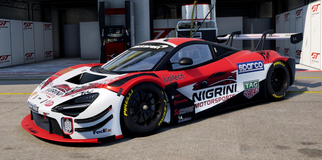 Nigrini Motorsports - TheOneAnt