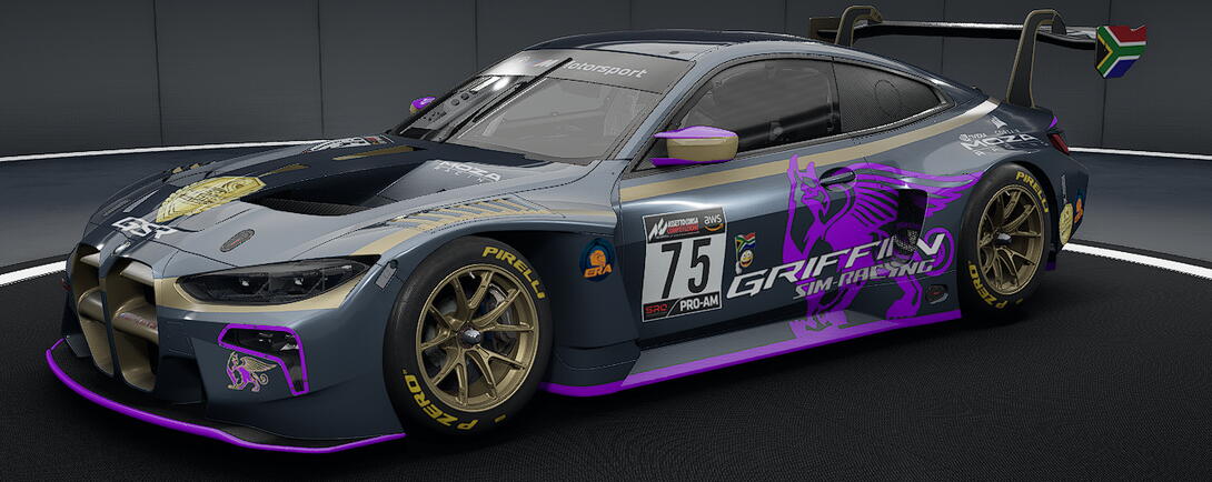 #GSR_BMW_GT3_UdJ