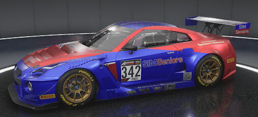 SIMSeniors_Endurance_Nissan_GTR_v3_342
