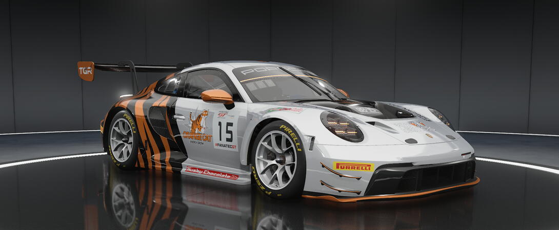 Tig Gang Racing Porsche 992 GT3 R #15 Finale