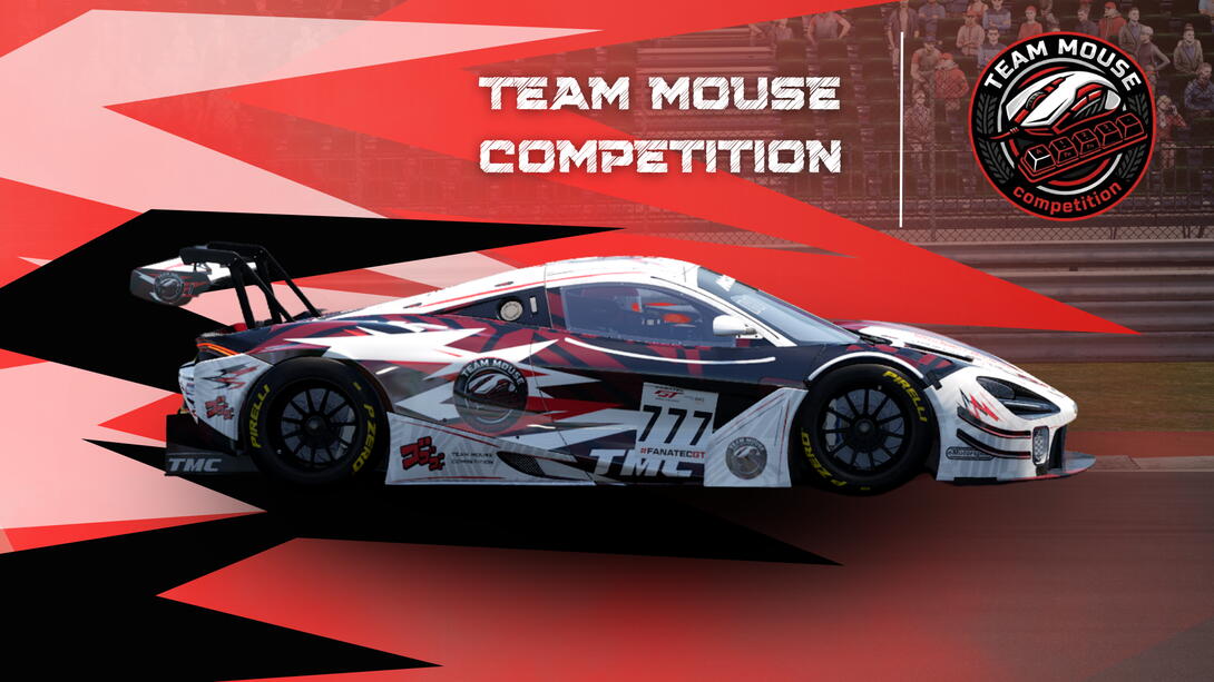 Team Mouse competition