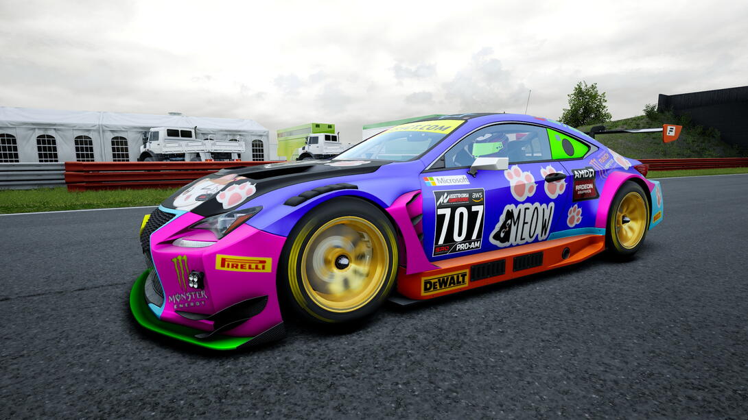 Lexus RC F GT3 LEXUSMEOW