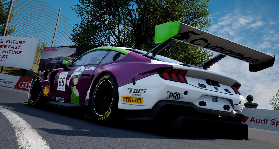 Stellar Revs Mustang GT3 4h Mount Panorama