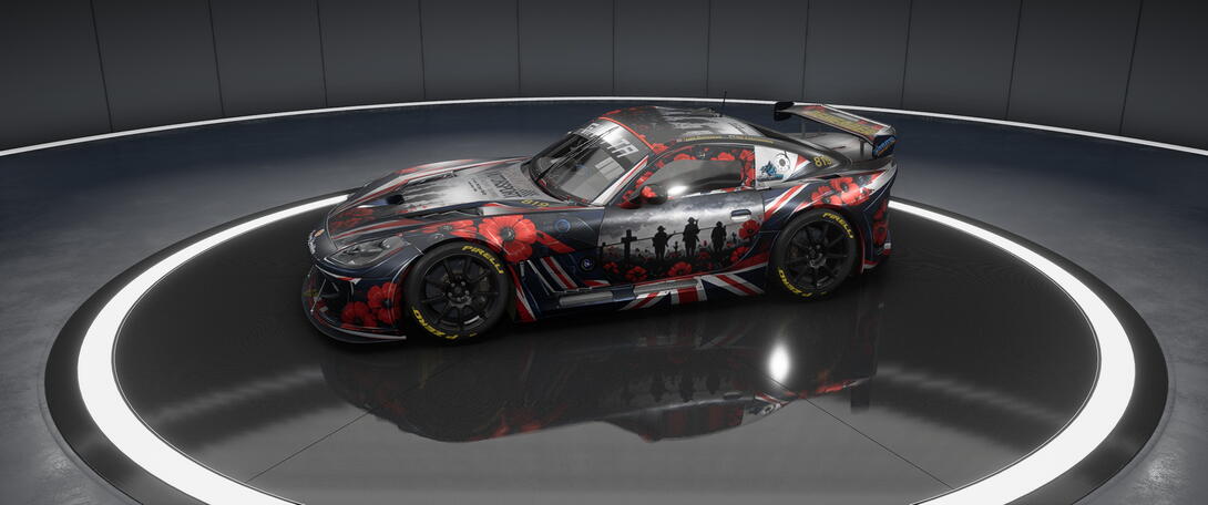 81 Elite Racing - Positive Perception 819