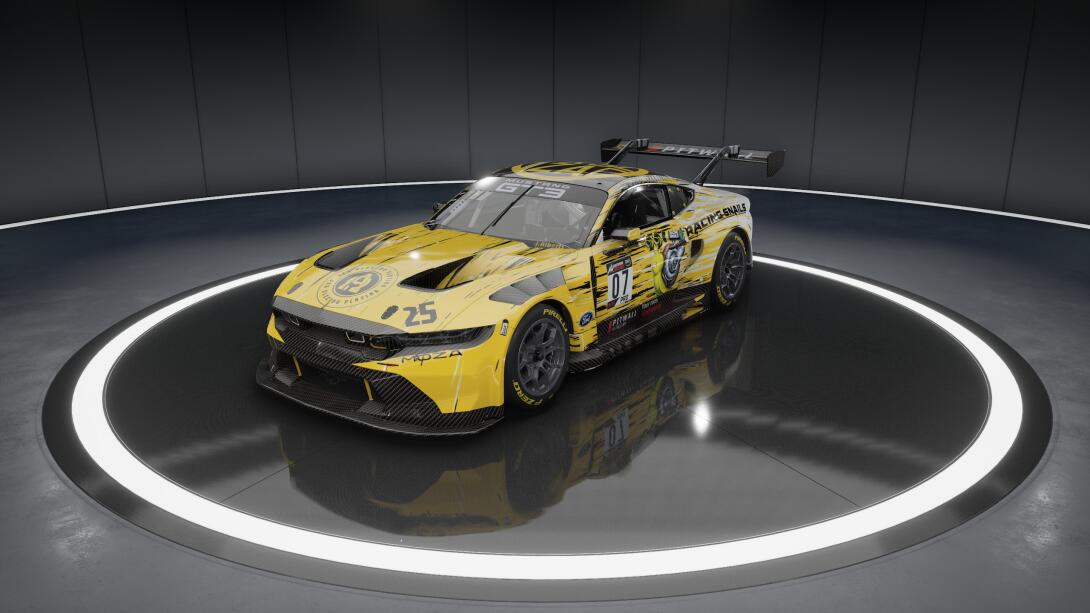 RACING SNAILS S28